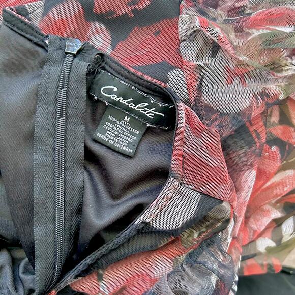 Y2K Cottage Romantic Floral Sheer Overlay Whimsygoth Fairy Dress Women Medium - Picture 11 of 11